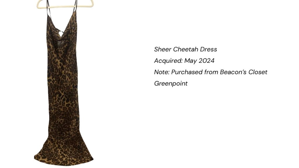 sheer cheetah dress
