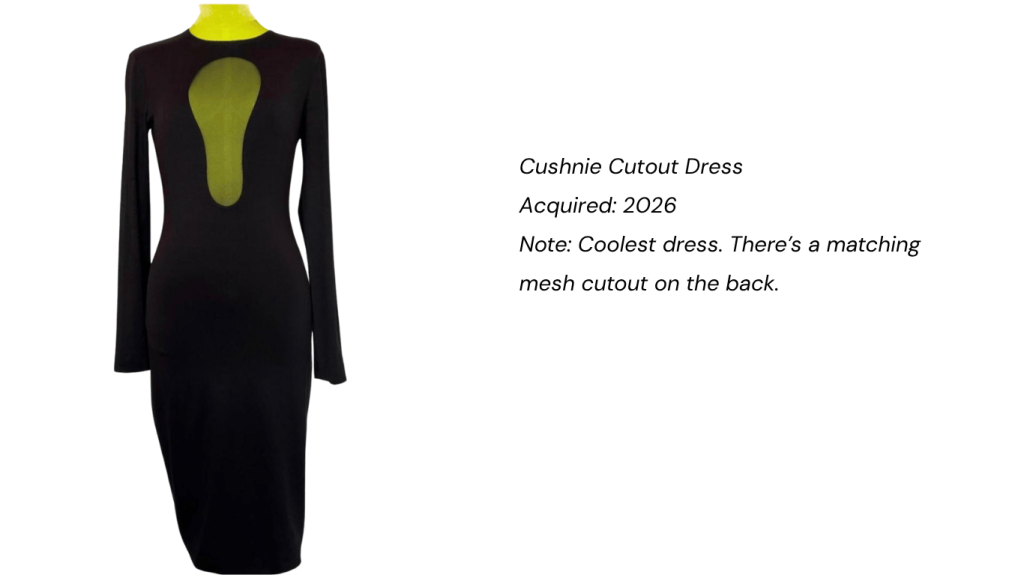 cushnie dress